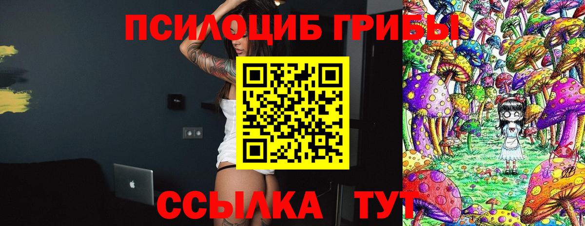 как найти закладки  Галлюциногенные грибы Cubensis  Хасавюрт  Вход с VPN  Псилоцибиновые грибы мухоморы 